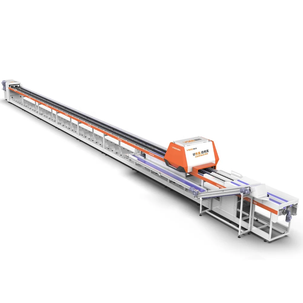 Passion Fruit Sorting Machine Intelligent 2 Channel Automatic Sorting Equipment