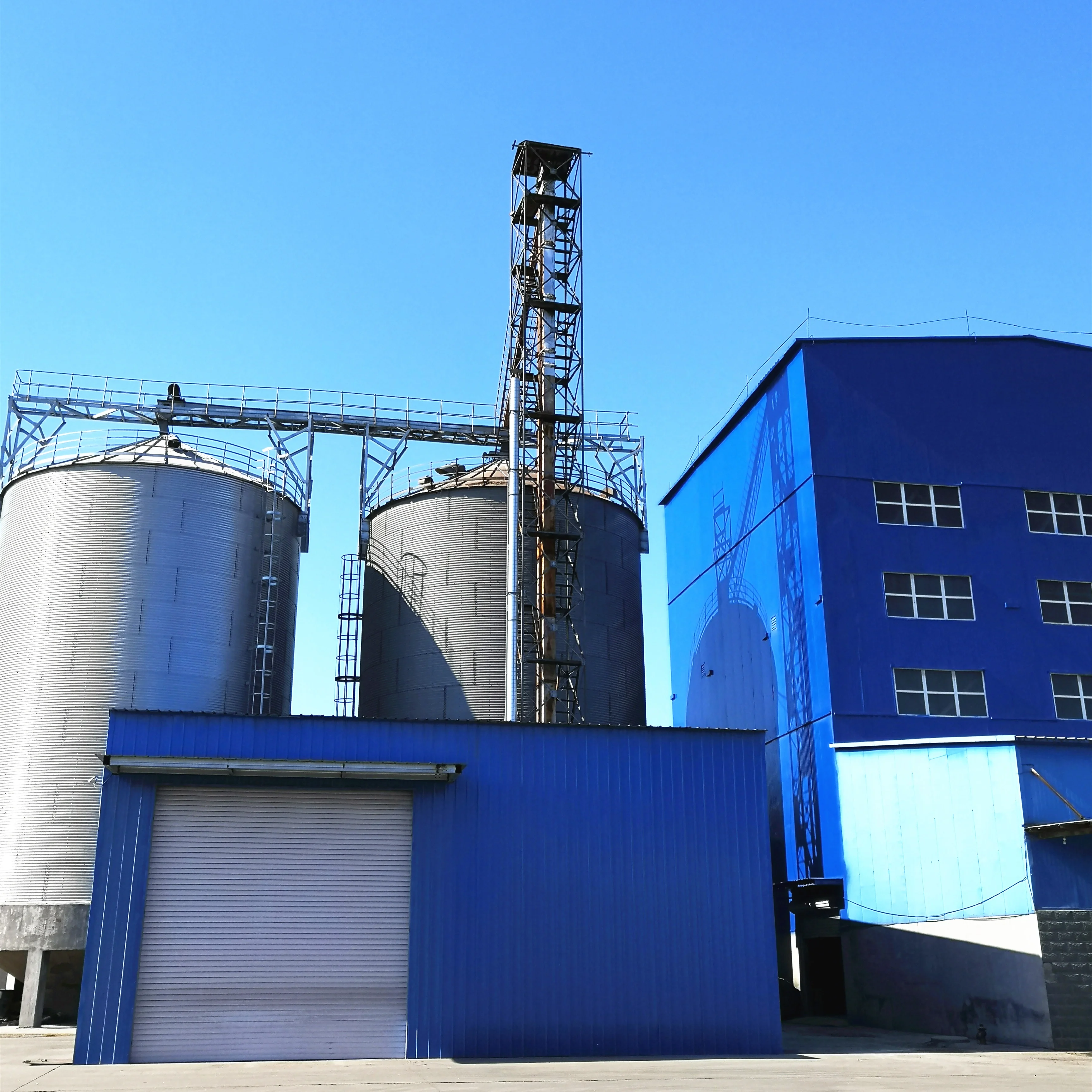 grow and gain weight quickly Concentrated premix for broiler chickens