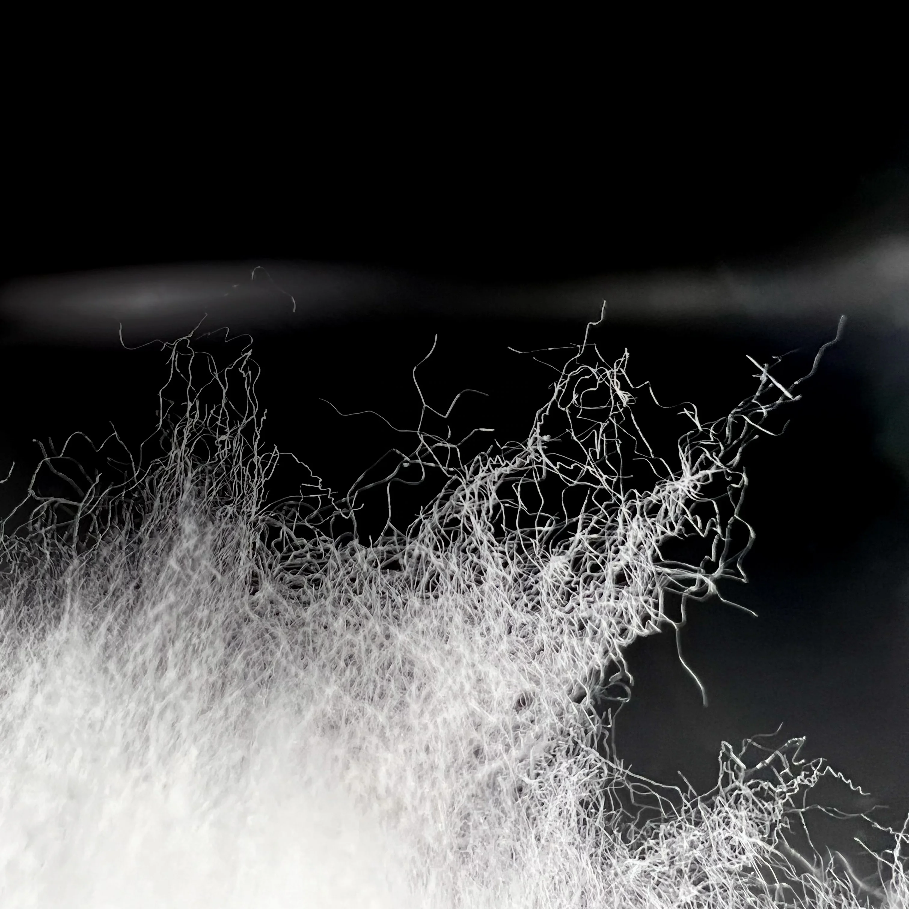 Imitate Down Like Polyester Padding Cotton Polyester Loose Fiber for Quilts/Toys/Garment