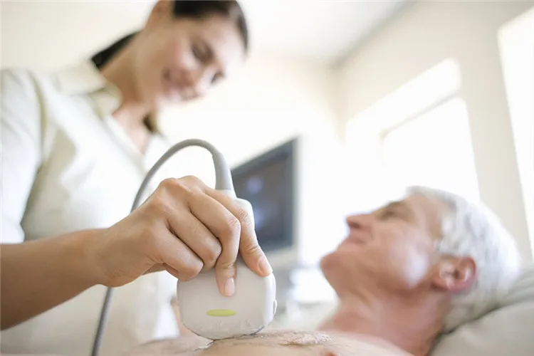 
CABIO best seller arachidonic acid oil powder 506-32-1 