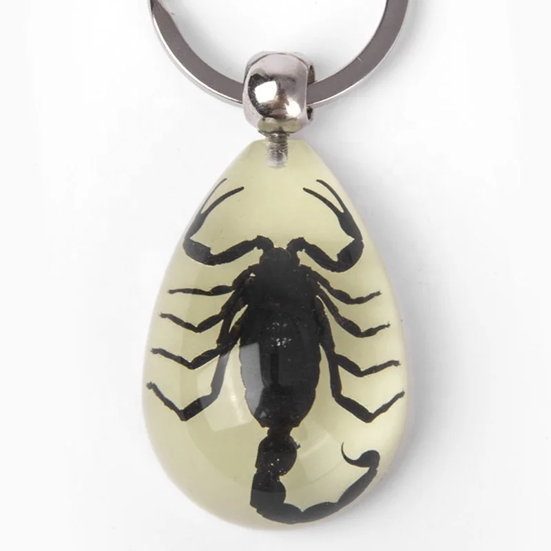 glow in the dark water drop shape epoxy resin glowing real insects keychain