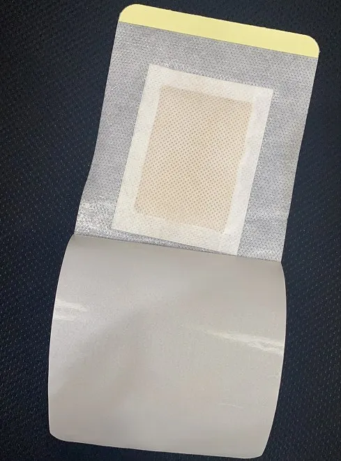 Top Selling Products 2023 Bamboo Wood Vinegar Extract Ginger Detox Relax Foot Patch for All People