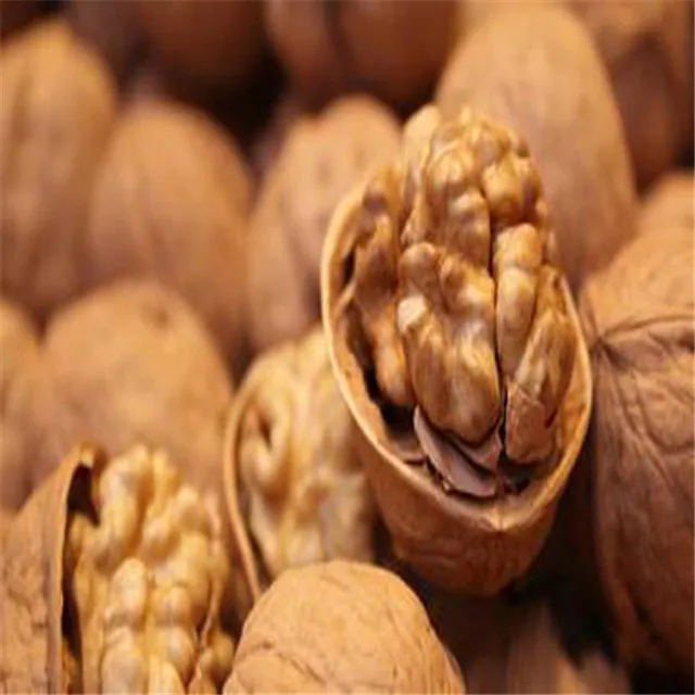 Chinese Raw Dry Clean Walnut with Shell Wholesale Plant for Export