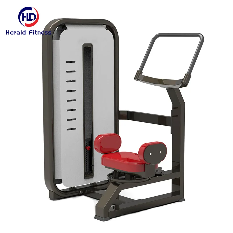 NingJin Herald Fitness Ex-work Price Core Strength Resistance Customized Rotary Torso Loaded For Gym Use
