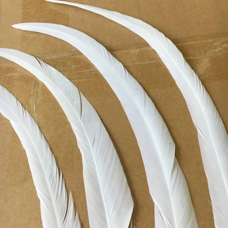 Wholesale Super White 40-45cm Rooster Tails Feather Chinese Coque Feathers For Carnival Costume Samba Fly Tying