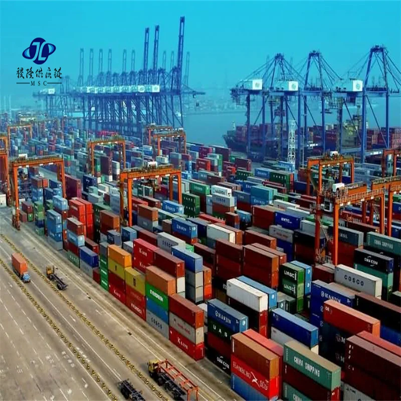 China Train dropship supplier Shipping Agency Shipping Agent To Portugal Croatia Netherlands Slovakia Spain Austria Slovenia ddp
