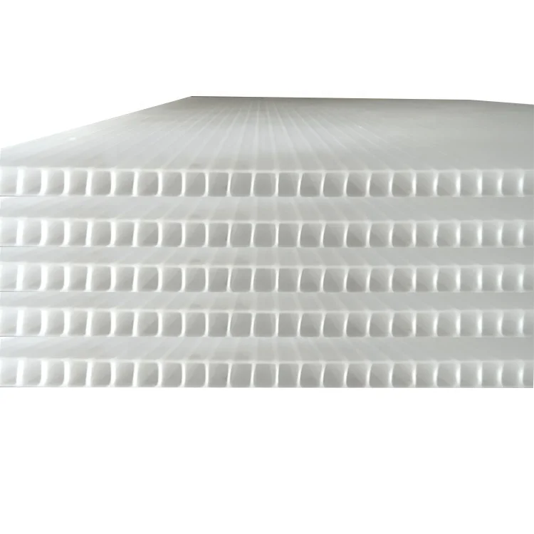 High quality Plastic PP Corflute Sheet Rolls/Printed PP Corrugated Sheet Rolls