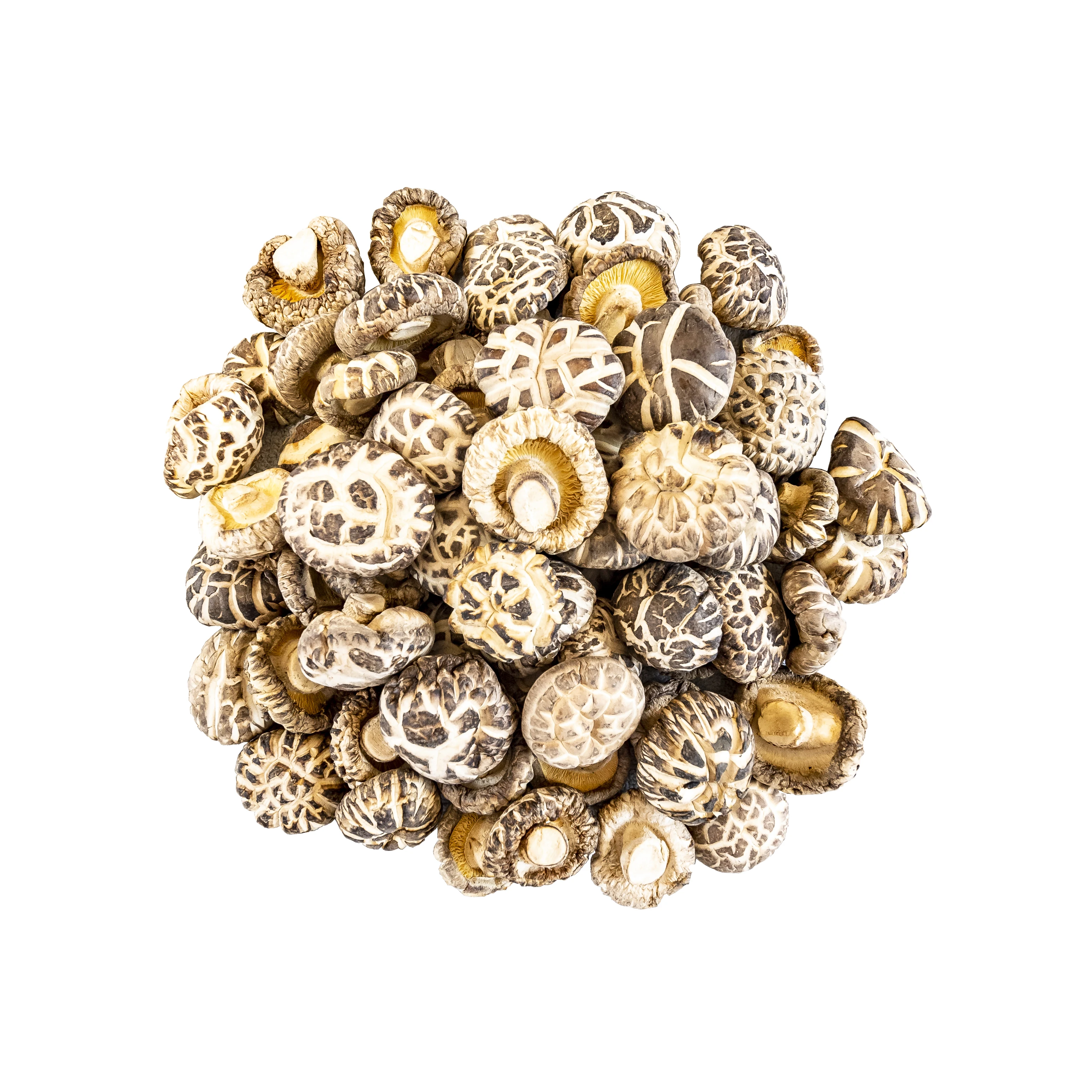 Superior Quality Driedshiitake Mushroom Magic Mushroom