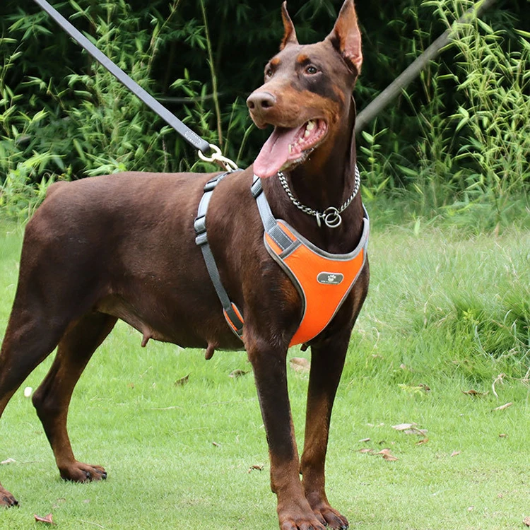 Factory Price Max Tension Customized Retractable Dog Leash Easy Walk Harness for 12 to 50 KG Pet automatic dog lead