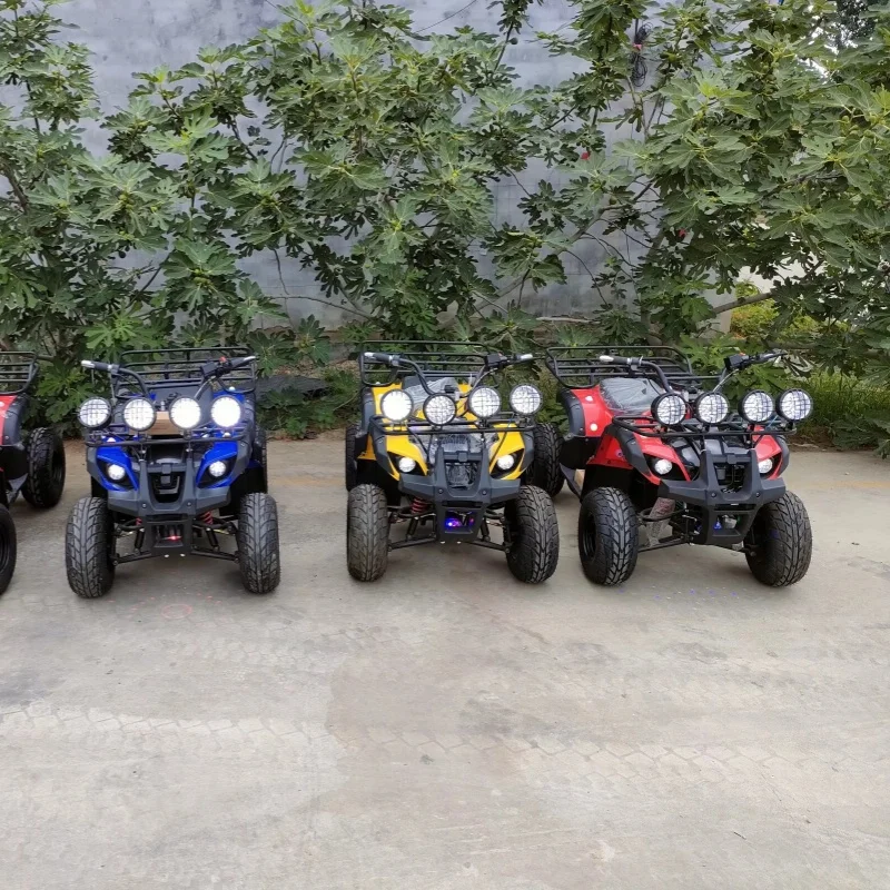 Top Selling Electric Dune Buggy for Adults Plastic seaside Beach Car Made in China by Factory Manufacturer Indoor & Outdoor Use