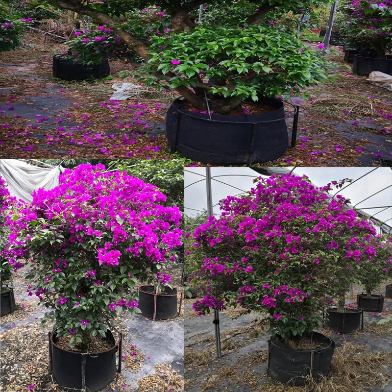 3 gallon Double layer knit durability and breathability Fabric Garden Grow Bag For Plant With Handles