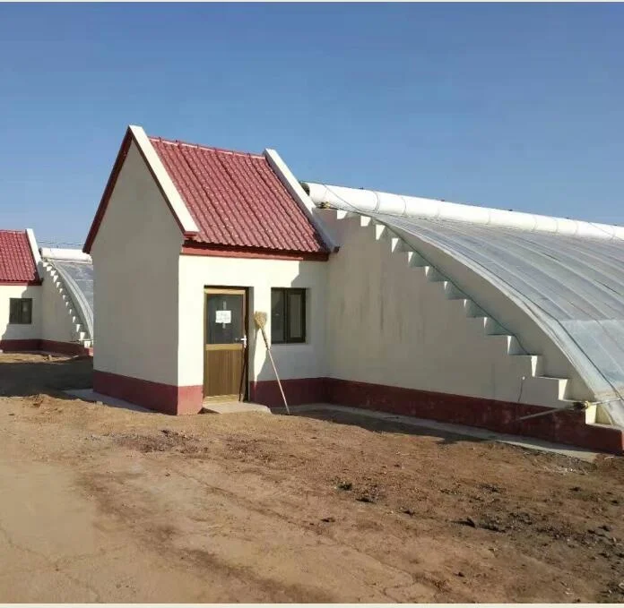 Теплица с солнечной панелью