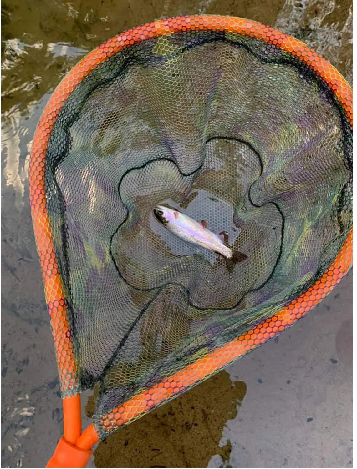 Fly Fishing Float Landing Net With Durable Materials Net Bag Floating For Wade Fish E10