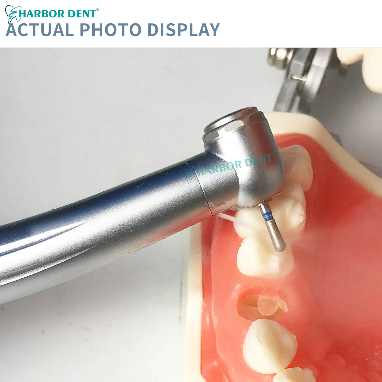 Single Water Spray Push Button Turbine Cartridge Rotor 2/4Holes Dental High Speed Handpiece For Dentist Equipment