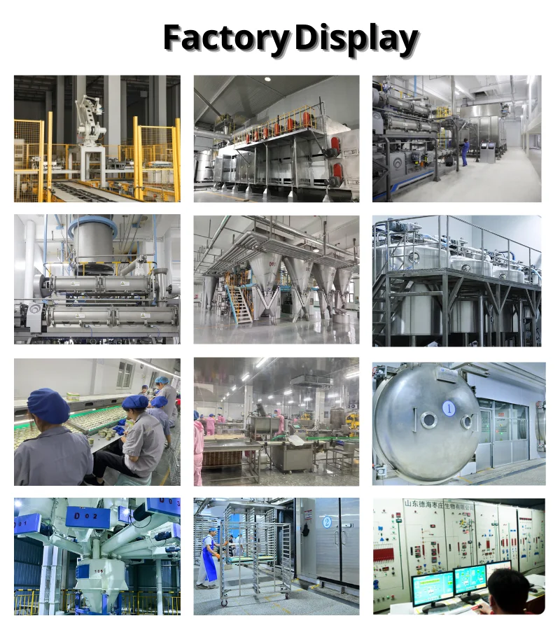 Wholesale Canned Cat Food Suppliers Offering Wet Tuna Chicken and Egg Yolk Flavors for Retailers