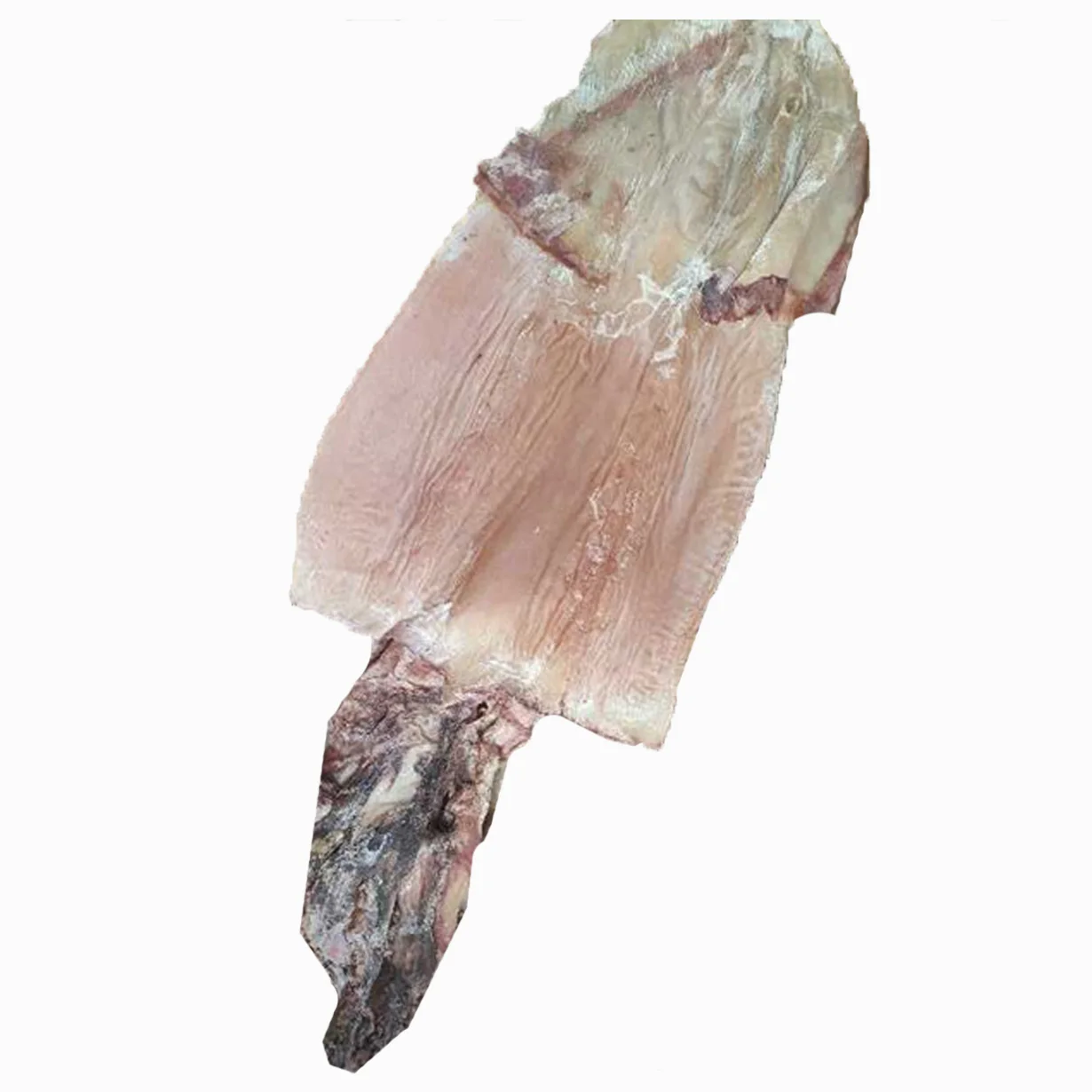 dried squid dry squid Vietnam dry squid