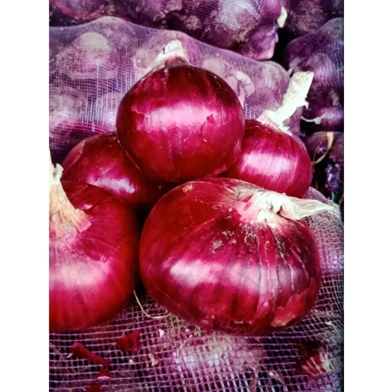 
Healthy Chinese Wholesale fresh onion 
