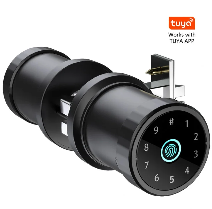 Дверной смарт-замок tuya с цифровым ключом и Биометрическим распознаванием отпечатков пальцев