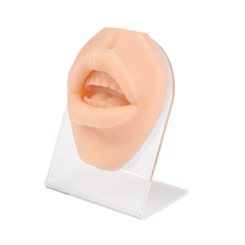 Snake Bite Mouth Piercing Model Silicone Body Parts for Piercing & Suture & Injection & Lip Tattoo Techniques Practice
