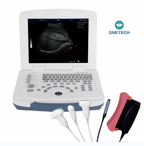 B38vet Very economic but great performance 12.1 inch laptop vet ultrasound scanner / Portable veterinary ultrasound equipment