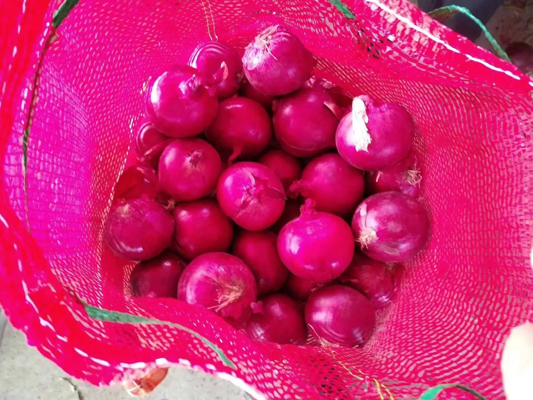 Fresh Red Onion