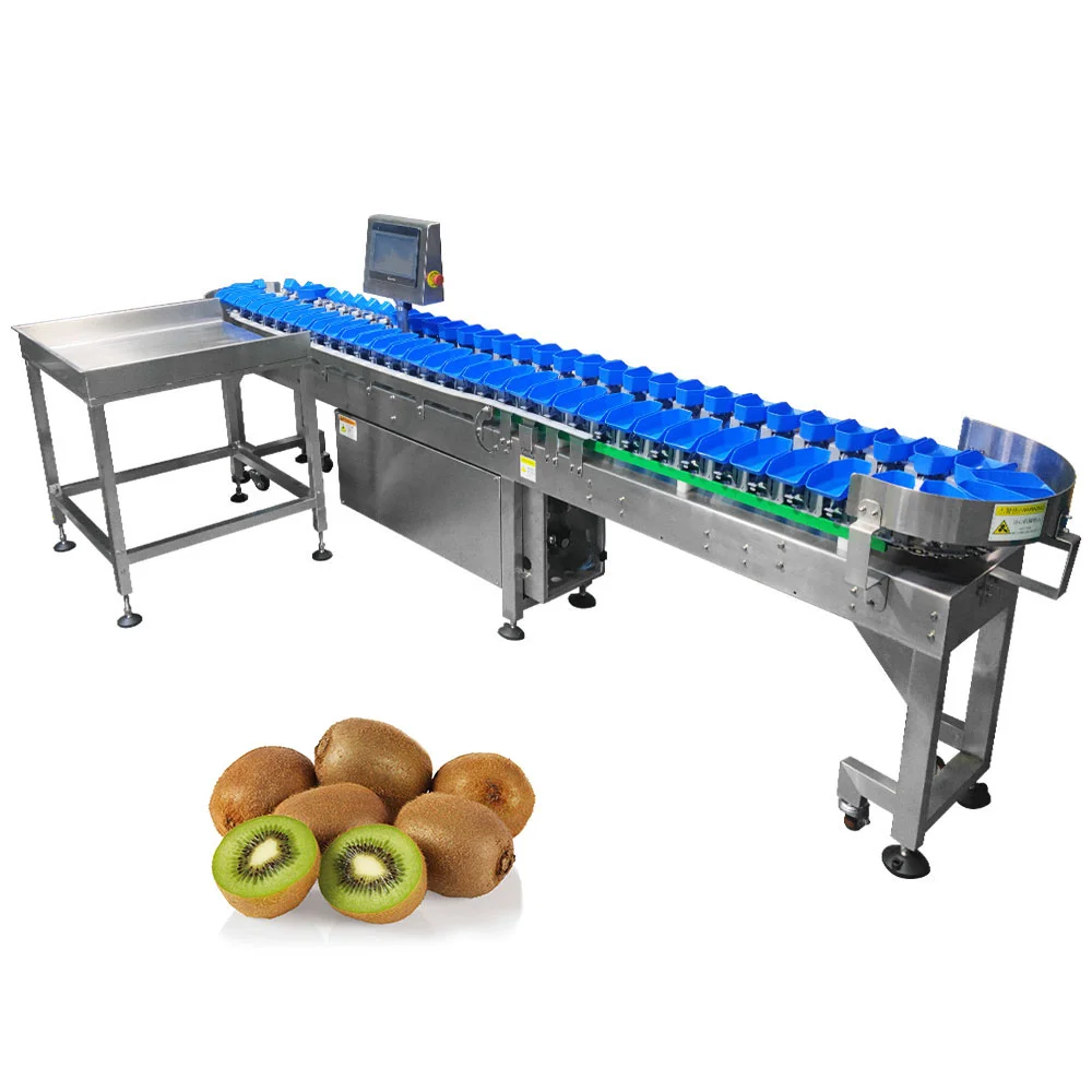 TT-WSM-02 Automatic Weight Sorting Machine Weight Sorter for Mango sorter and fruit sorter