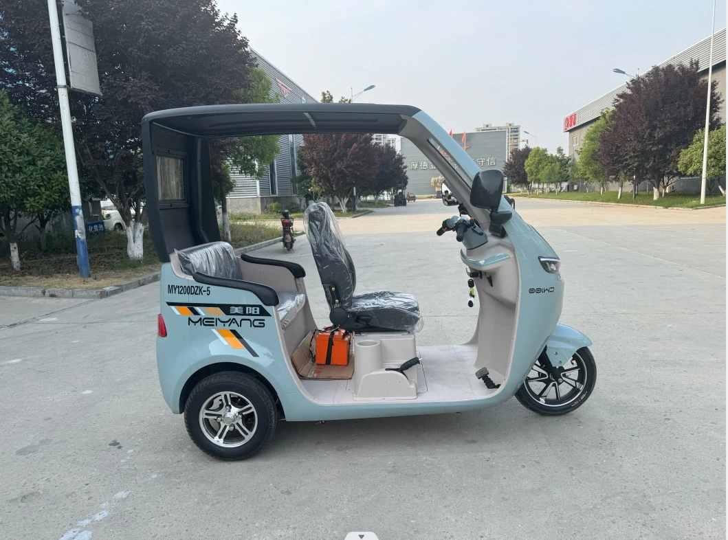 MEIYANG 3-Wheeled Electric Tuk Tuk Open Body Passenger Tricycle for Adults 1000w Motorized for Elderly Family Use
