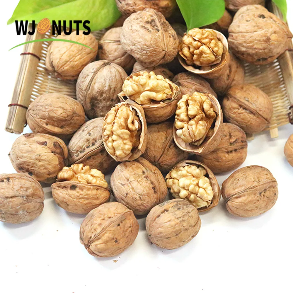 Wangjiang Walnuts-in-shell-price 185 Walnuts Prices usa
