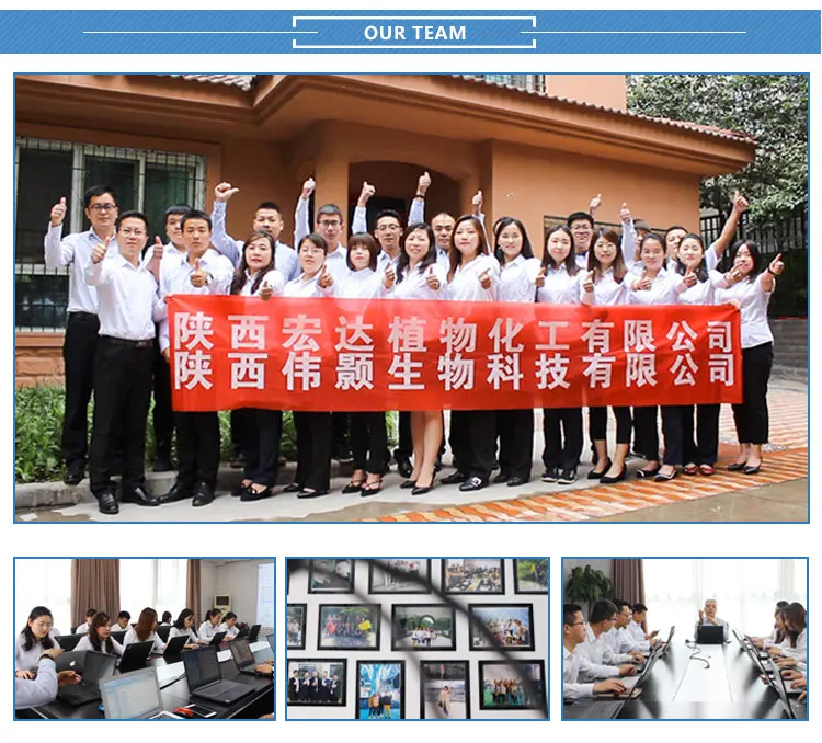 Hongda USP Coenzyme Q10 98% 10% Powder Q10 Reduced/Oxidized Coenzyme Q10 Coenzyme