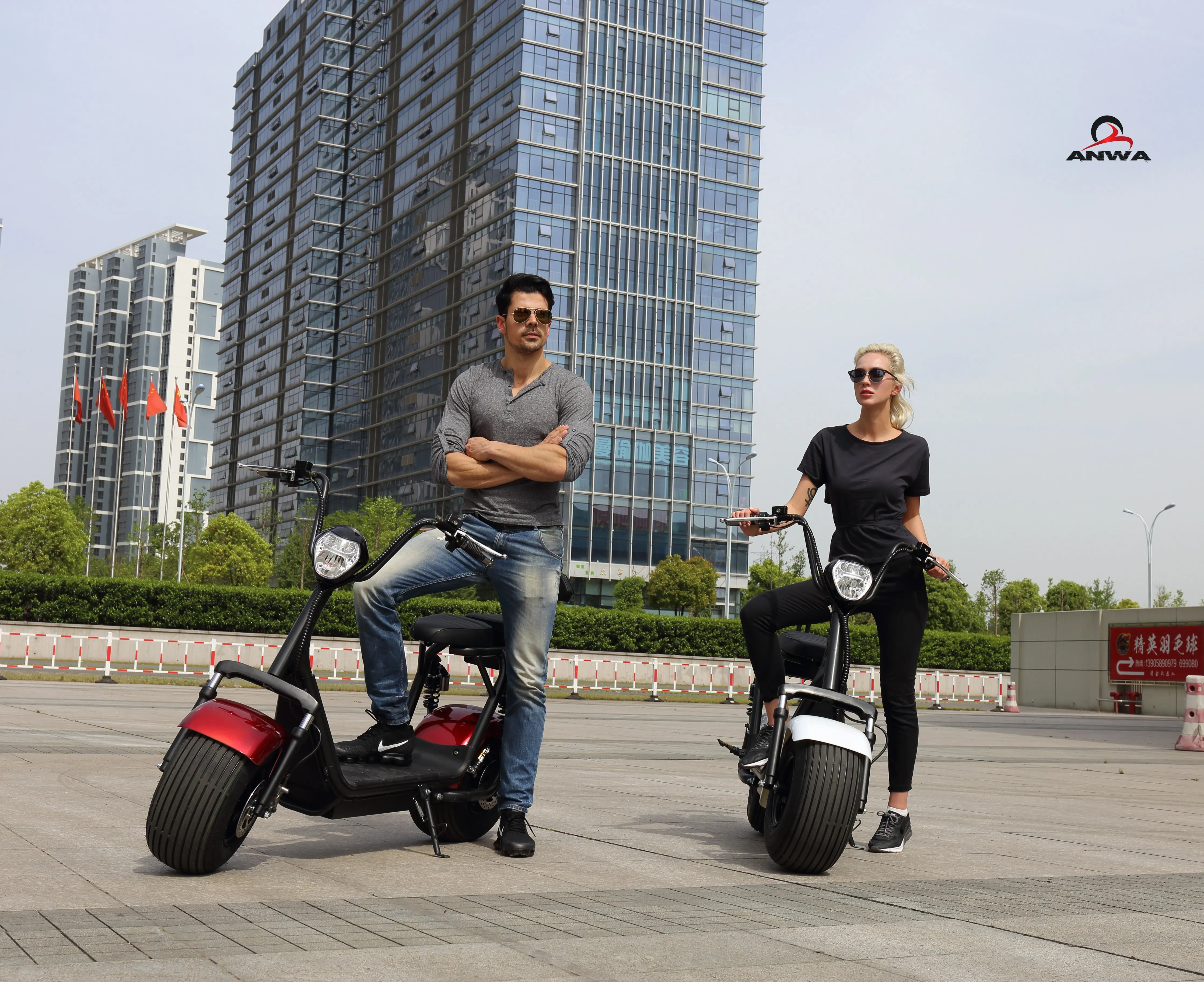 Newest Electric Scooter Parts 1000w Citycoco 60v/12Ah Fast Electric Motorcycle