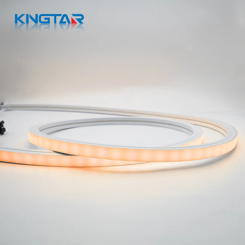 LED Neon Flex12V Flxe Light 16*16mm Size Colorful Indoor/Outdoor Decoration Landscape 5m Length