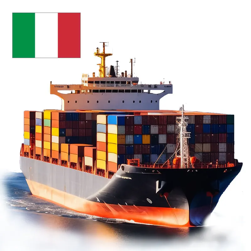 Guangzhou Ten Years Italy Czech Line Shipping DDP/DDU International Logistics Transportation
