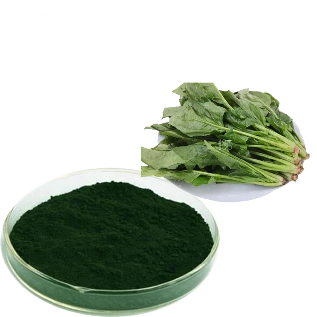 Dehydrated spinach powder Spinach juice powder Vegetable powder Plant extract