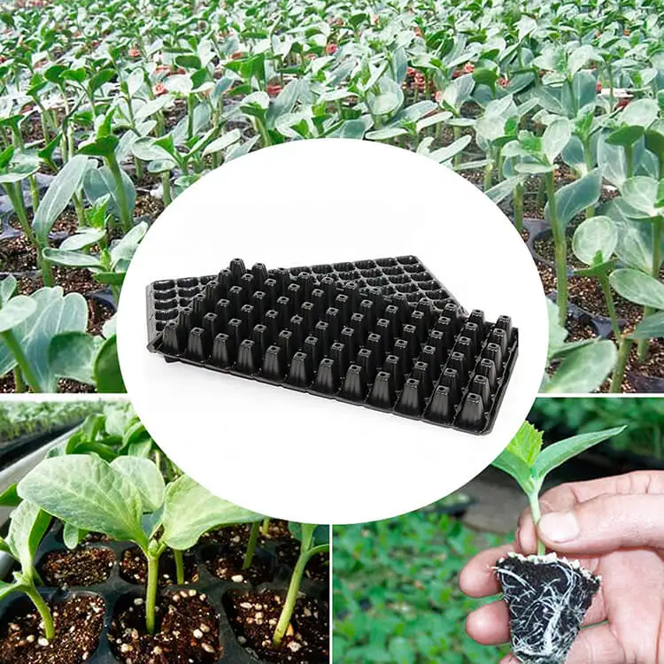 Professional Seed Tray Plant Cells Seeding Flat Germination Seedling Plug Trays