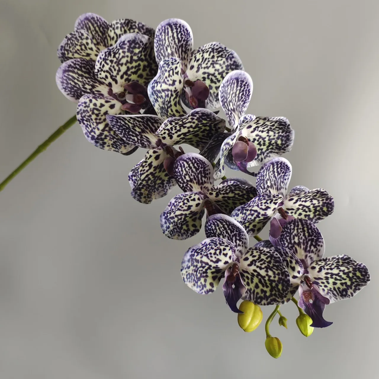 Real Touch Phalaenopsis Flowers   Ultra Realistic Fuchsia Artificial Orchids for DIY Centerpieces, Home  Event