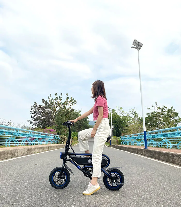 Electric Bike/bicycle Electric Moped Fido L3 Discount Fat Suspension E-bicycle E-bike Electric Bike Chinese Lithium Battery D2