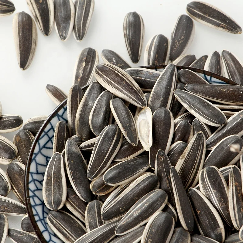 Wholesale China New Type Big Size  Sunflower kernels Seeds green sunflower seeds