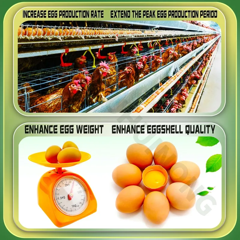 AC3E Vitamin Powder Probiotics Premix For Rate enhance immunity livestock feed additive