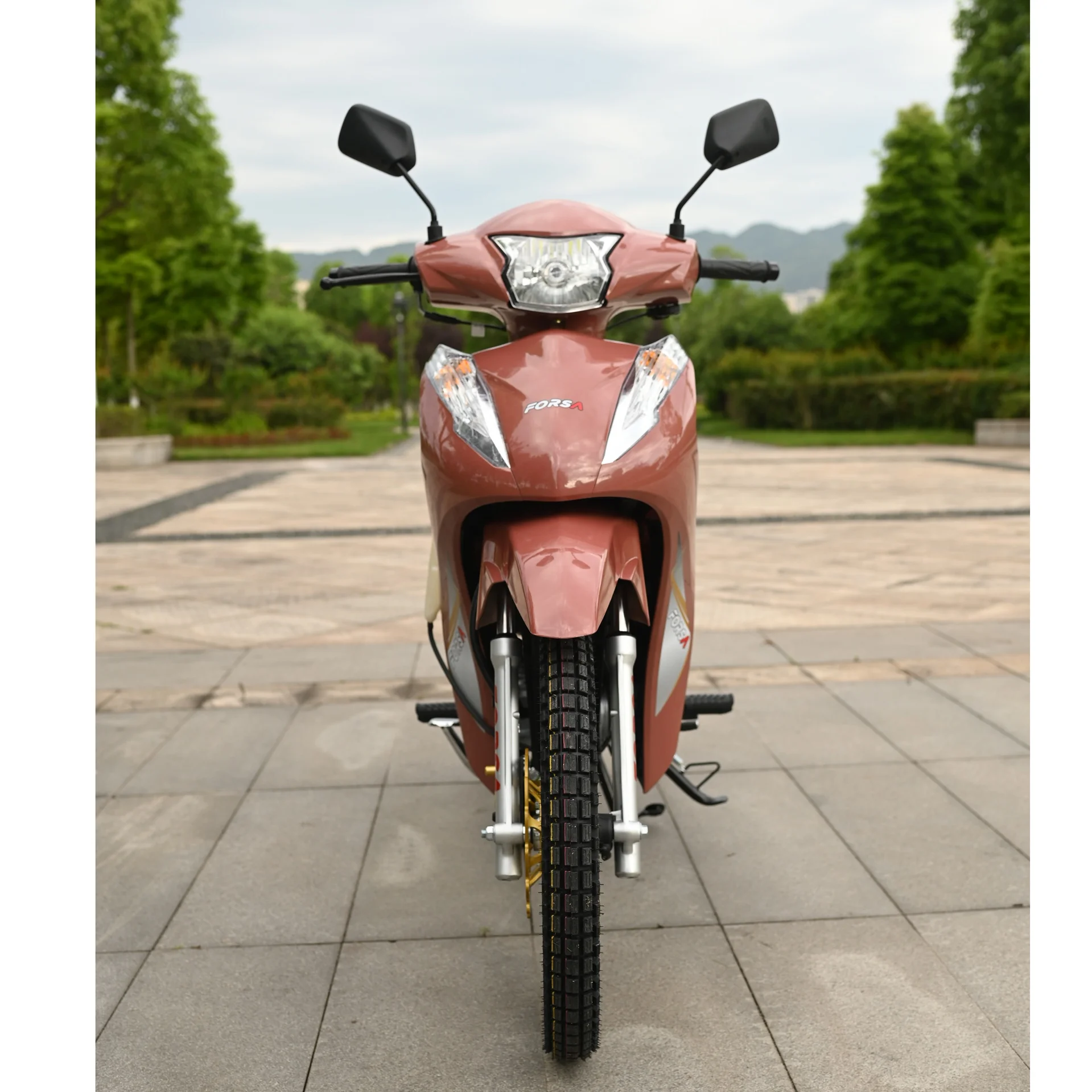 135cc Motorcycle FS135-B12 Forsa Cub Gasoline Motorcycle  China Manufacturer