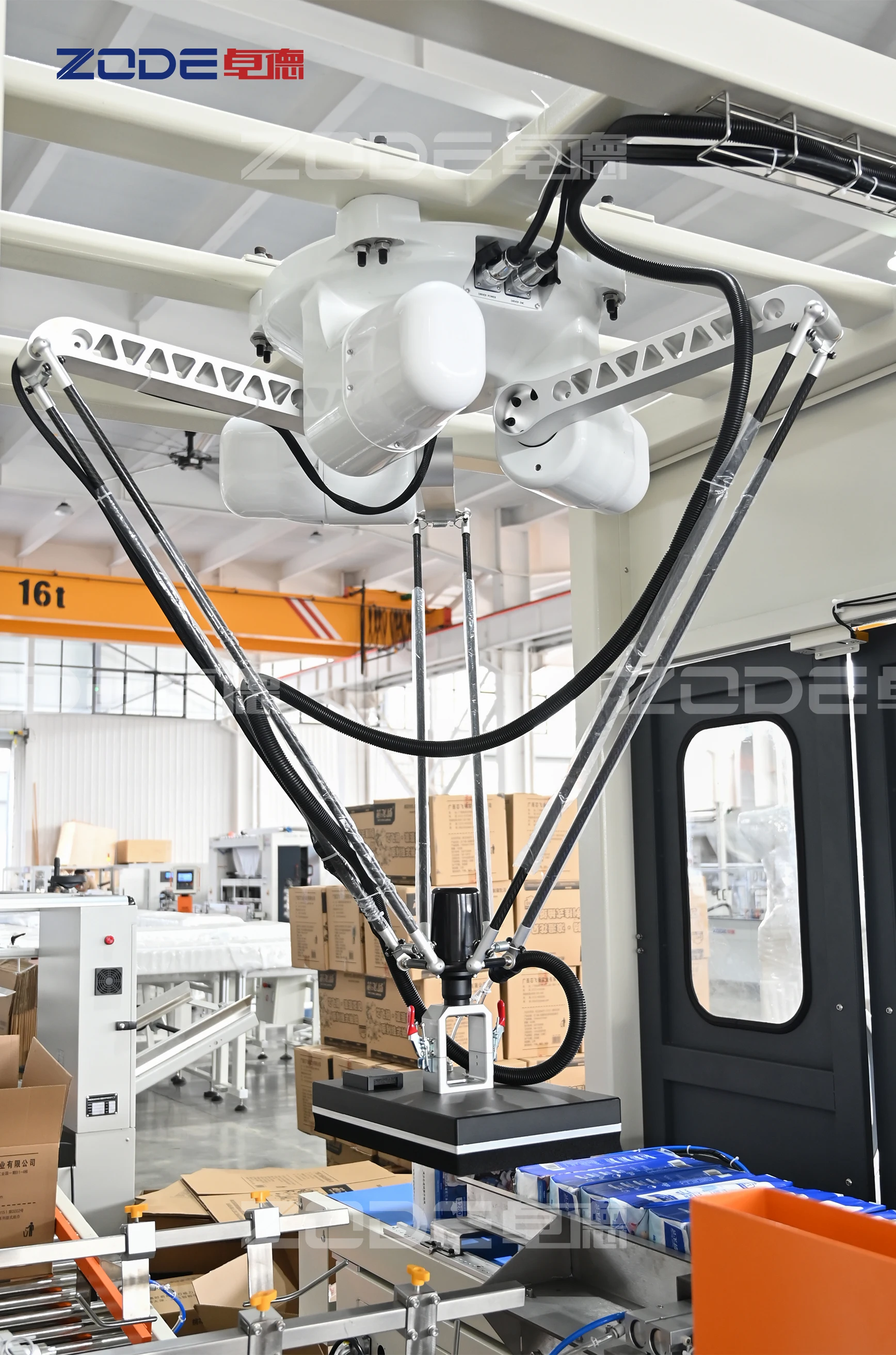 ZD-ZX20 Automatic Case Packing Machine Facial Tissue Paper 20 Beats Time Packing Machine