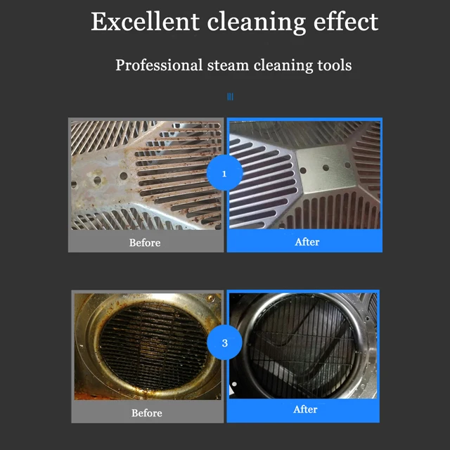 Professional multi-function quick continuous dry wet steam portable steam cleaner for ac