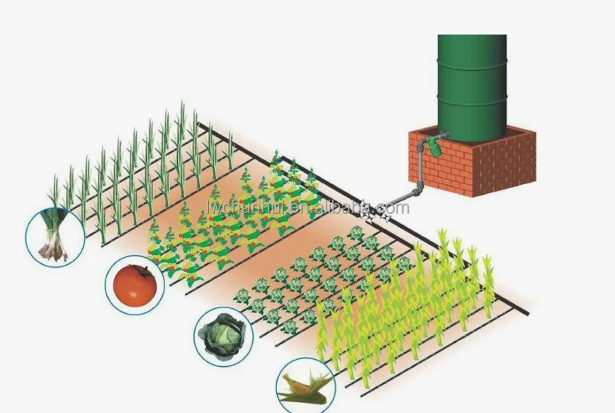 Design 1 Ha 2Ha 5Ha 10Ha Drip irrigation System Spray Irrigation Automatic Agricultural Watering Farm Land Drip Line Irrigation
