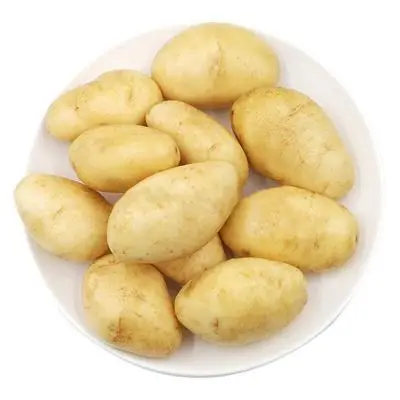 
Hot selling 2020 new fresh potato 