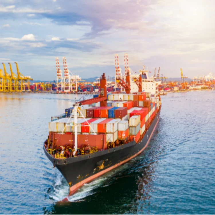 Sea Freight Shipping From China Freight Forward Ship To Usa Canada Door To Door