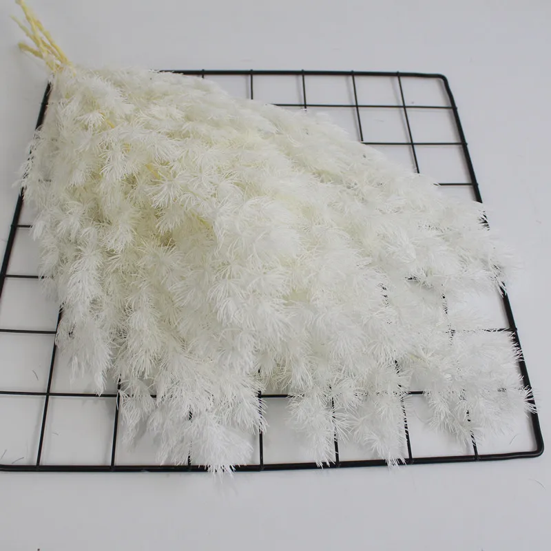 Amazing preserved flower preserved Ming Fern for Party Art Wall Hanging Wedding Decoration