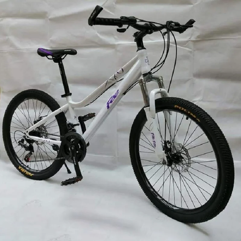 Top Sale High Quality 24-Inch City Bike Lady Bicycle 21 Speed Gears Aluminum Alloy Fork Ordinary featuring Disc Brakes