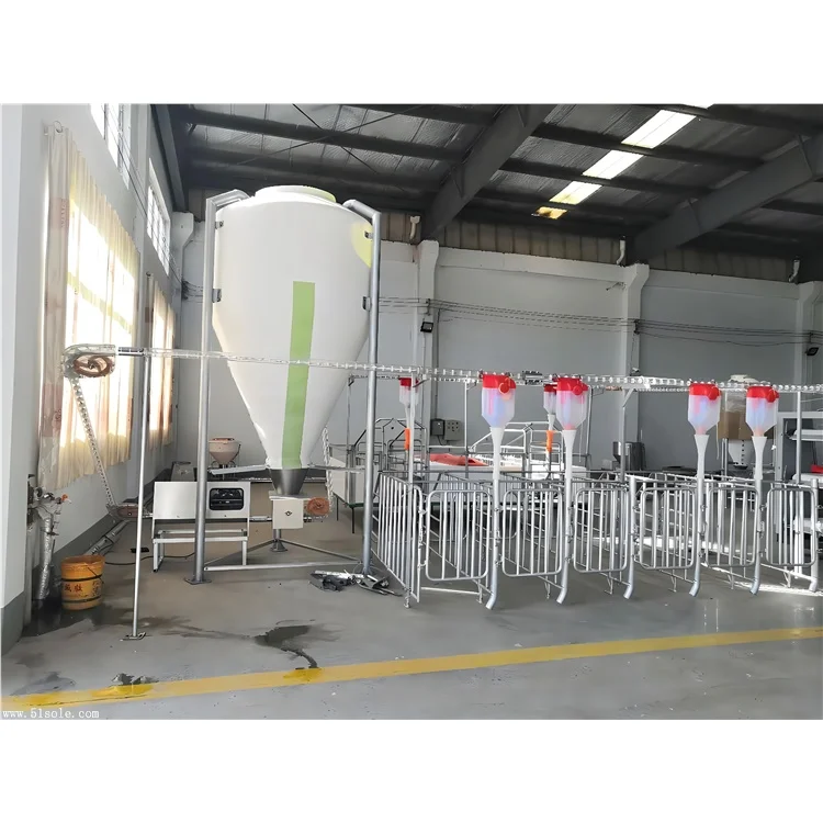 pig fatten cage fatten crates animal cages pig farm design chinese factories wholesale customized piggery equipment pig pen