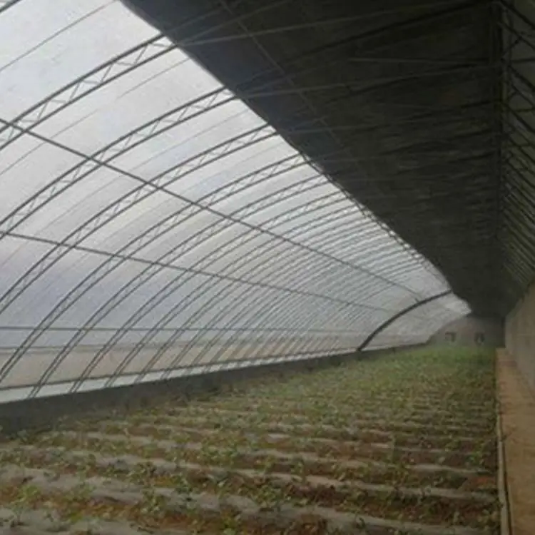 Superior Quality Low Cost Agricultural Greenhouses Mini Plastic Film Greenhouse