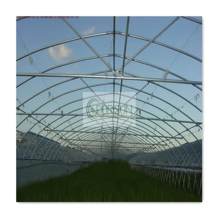 China complete hydrophonic modular garden greenhouse farming hydroponic tomato poly net passive greenhouse sale Pakistan