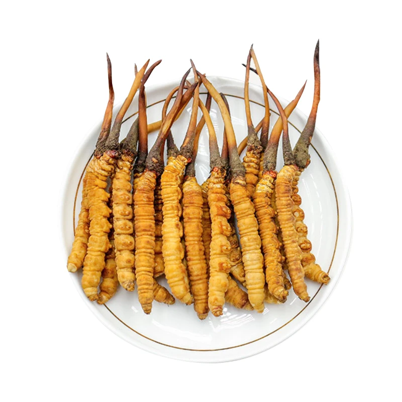Wholesale Price Cordycepin Longrich Products Bulk Dried  Mushroom Cordyceps Mycelium Fungus Whole Cordyceps Sinensis Militaris